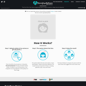 PornstarByFace, Porn Search Engines