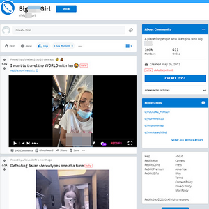 BigDickGirl, Trans Porn Sites