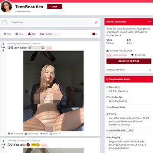 TeenBeauties (18+), Reddit NSFW List