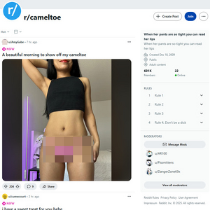Reddit Cameltoe, Voyeur Porn Sites