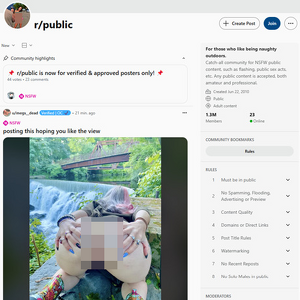 Reddit Public, Voyeur Porn Sites