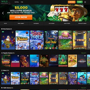 Wild Casino, Betting Sites