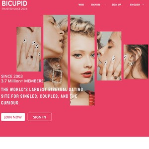 BiCupid, Hookup Sites